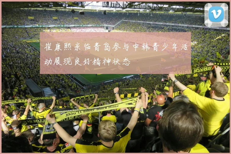 崔康熙亲临青岛参与中韩青少年活动展现良好精神状态